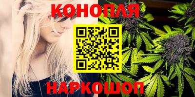 бошки Сланцы