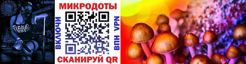 Галлюциногенные грибы MAGIC MUSHROOMS Торжок