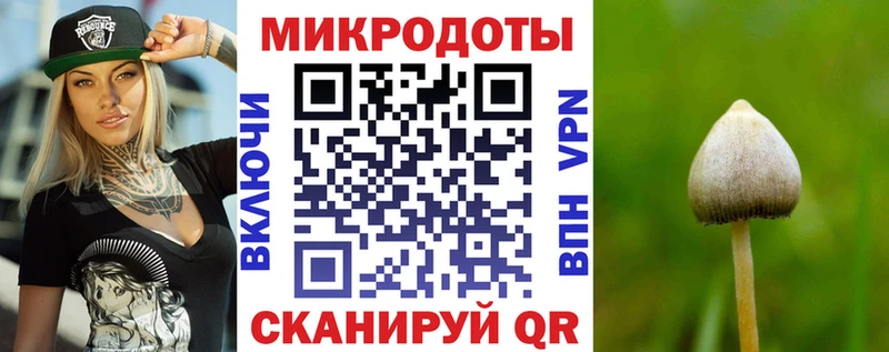 Галлюциногенные грибы Magic Shrooms  гидра ONION  Торжок 